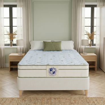 Matelas Mousse Haute Densité Mémoire de Forme et mousse FRESH - Aloe Vera Fresh 30 cm